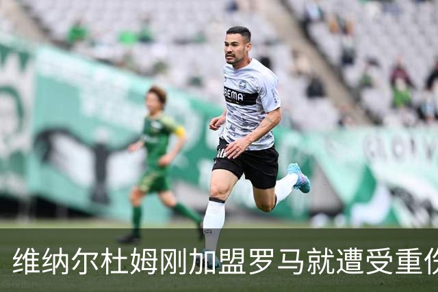 维纳尔杜姆刚加盟罗马就遭受重伤 提前告别今年比赛